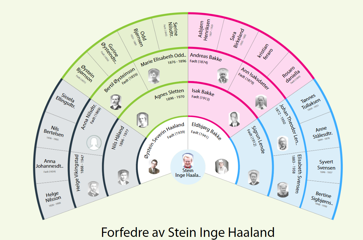 Forandre hovedpersonen fra aneesirkelen