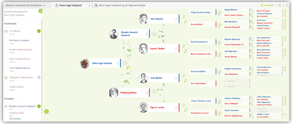Family editor overview
